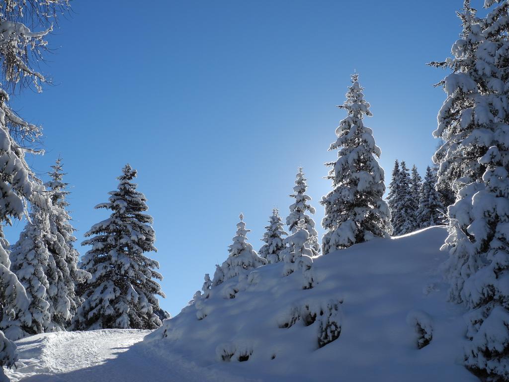 Bed and Breakfast Shima-Davos Zewnętrze zdjęcie