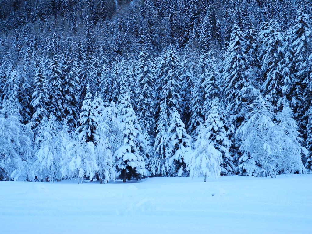 Bed and Breakfast Shima-Davos Zewnętrze zdjęcie