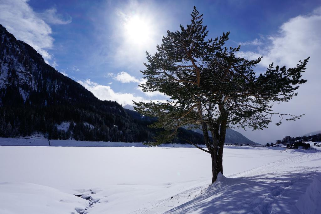 Bed and Breakfast Shima-Davos Zewnętrze zdjęcie