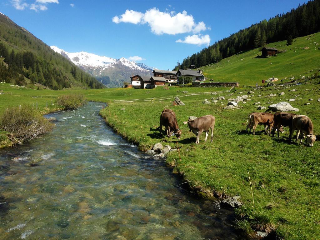 Bed and Breakfast Shima-Davos Zewnętrze zdjęcie